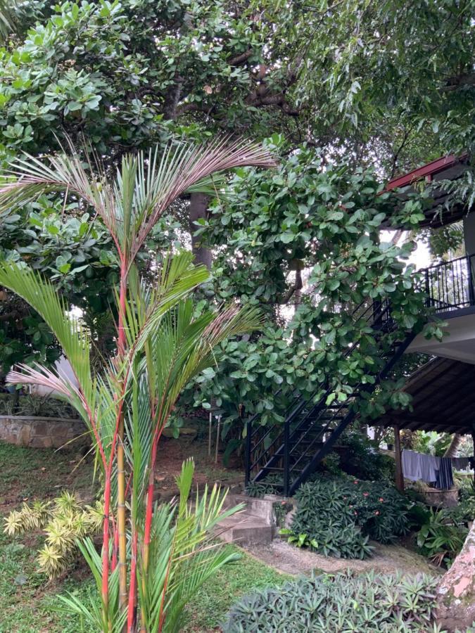 Lali Villa & Fruit Garden Galle Εξωτερικό φωτογραφία
