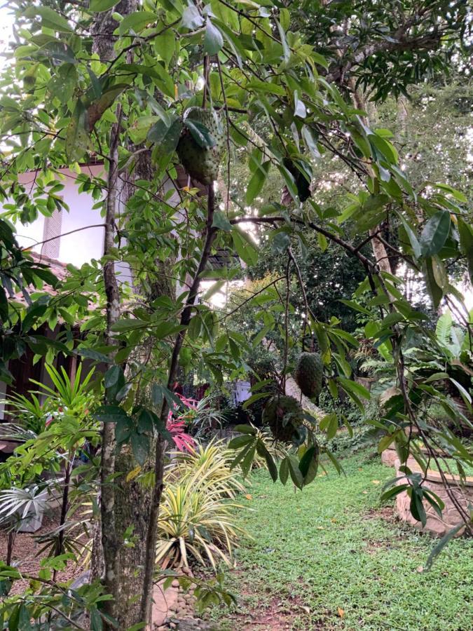 Lali Villa & Fruit Garden Galle Εξωτερικό φωτογραφία