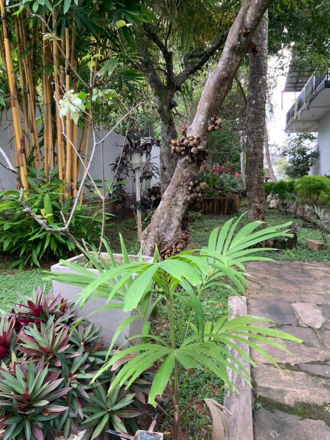 Lali Villa & Fruit Garden Galle Εξωτερικό φωτογραφία