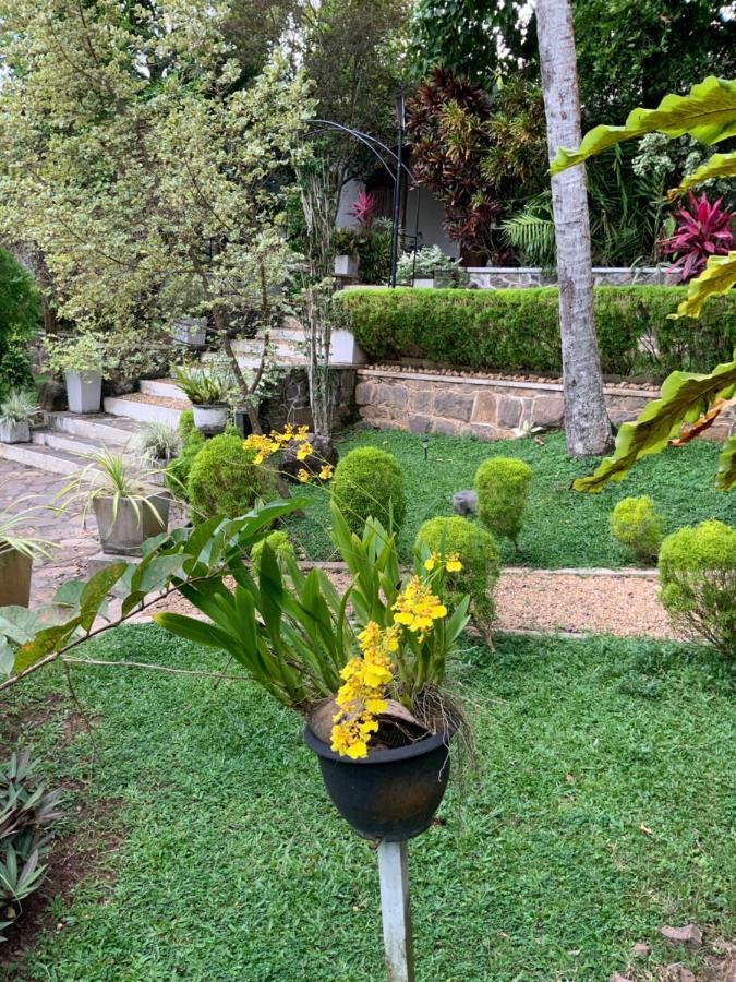 Lali Villa & Fruit Garden Galle Εξωτερικό φωτογραφία