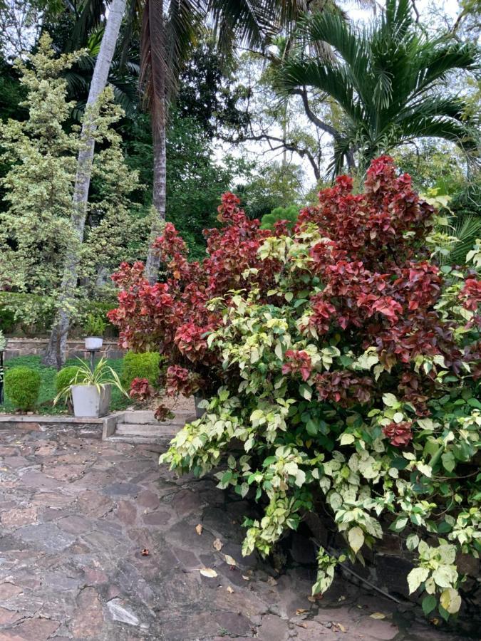 Lali Villa & Fruit Garden Galle Εξωτερικό φωτογραφία