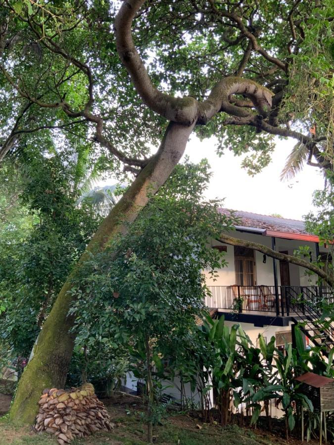 Lali Villa & Fruit Garden Galle Εξωτερικό φωτογραφία