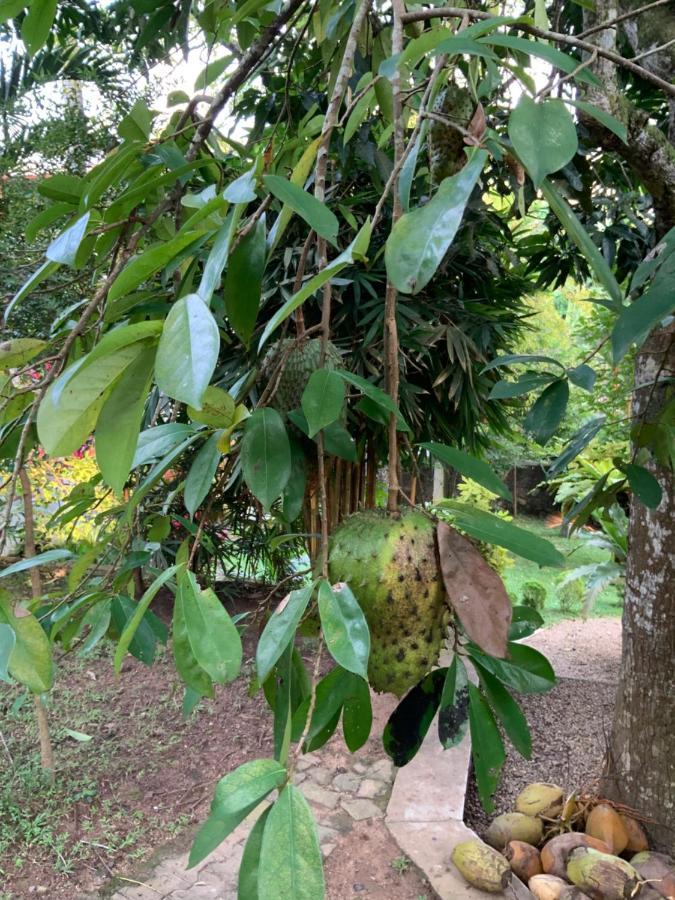 Lali Villa & Fruit Garden Galle Εξωτερικό φωτογραφία