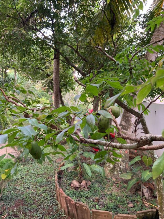 Lali Villa & Fruit Garden Galle Εξωτερικό φωτογραφία