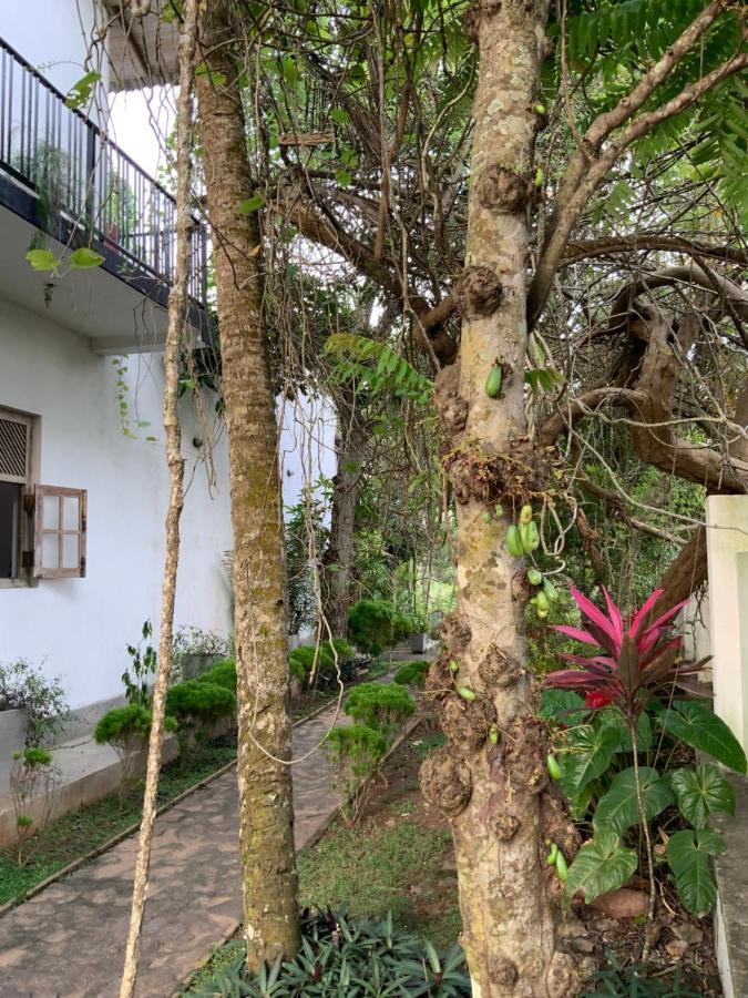 Lali Villa & Fruit Garden Galle Εξωτερικό φωτογραφία