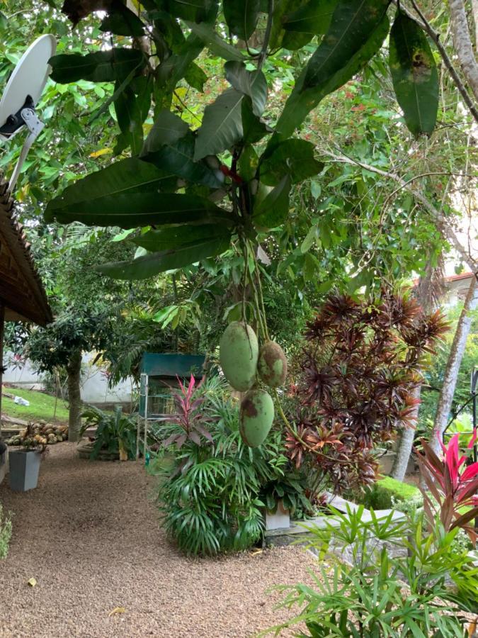 Lali Villa & Fruit Garden Galle Εξωτερικό φωτογραφία